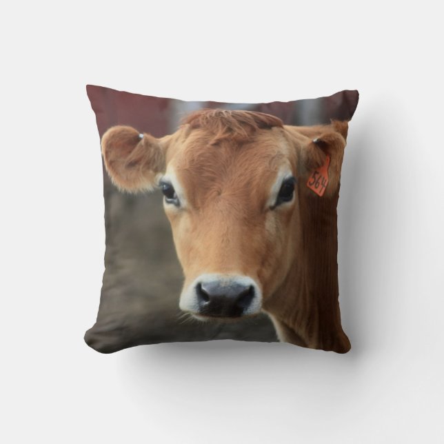 Vous ne me pensez pas suis joli coussin de vache (Recto)