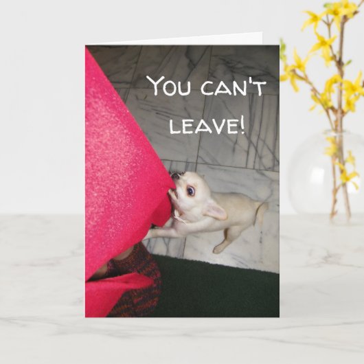 Vous ne pouvez pas quitter Chihuahua Carte de voeu (Fleur jaune)