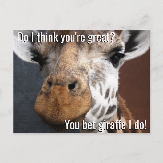 Vous Pariez Giraffe Encouragement Carte Postale (Devant)