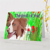 Vous pensez à ce magnifique Border Collie - Carte  (Fleur jaune)