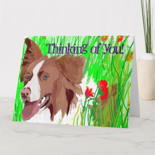 Vous pensez à ce magnifique Border Collie - Carte  (Devant)