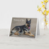 Vous pensez à la carte de voeux allemande de chien (Fleur jaune)