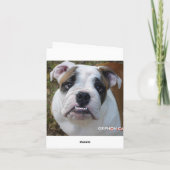 VOUS PENSEZ À VOTRE CARTE VIERGE ! (Dos)