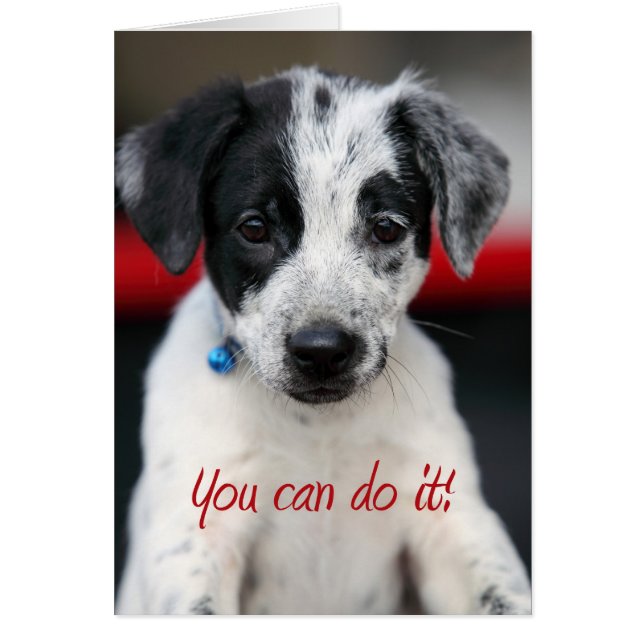 vous pouvez le faire (Devant)