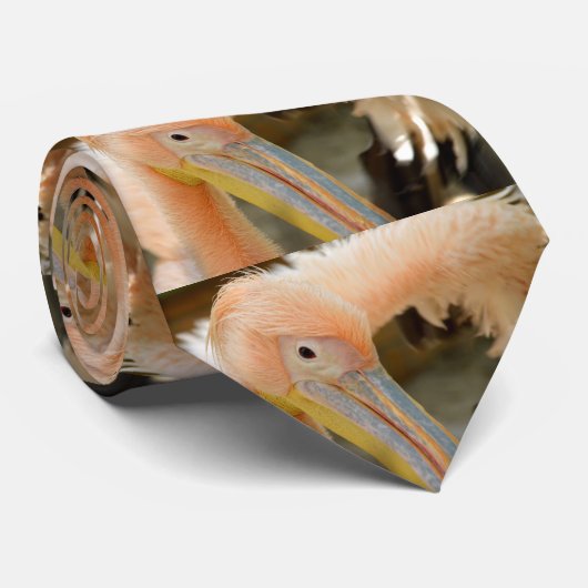 Vous regarder Cravate pélicane (Roulé)
