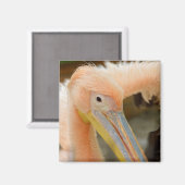 Vous regarder Magnet pélican (Recto/Verso)