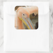Vous Regarder Sticker Pelican (Sac)