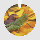 Vous regardez ici - Grasshopper (devant)