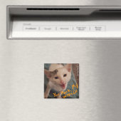 Vous Rock My World ! Aimant chaton (In Situ (Lave-vaisselle))