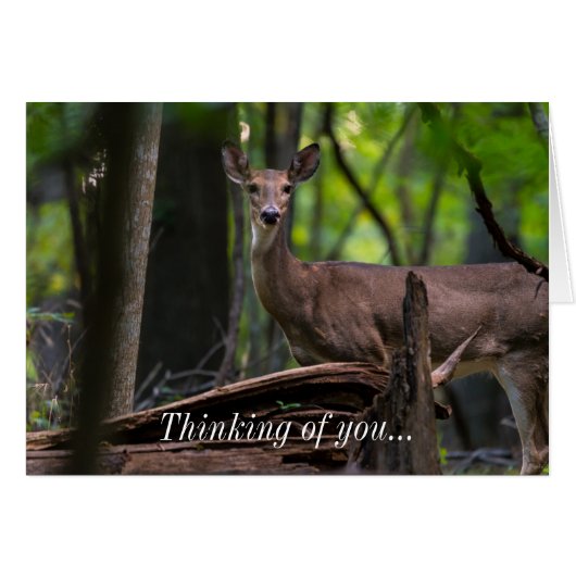 Vous Vérifier À Penser À Votre Carte (Devant Horizontal)