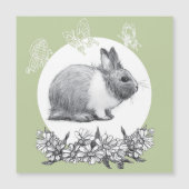 Vouw het konijn af. Potlood tekening (Voorkant)