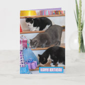 Vouwbare wenskaart kaart (Voorkant)