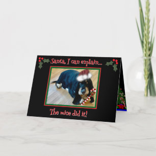 Vouwgroetkaart Kaart