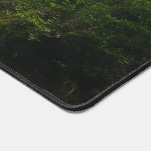 Voyage à travers la forêt magique (Coin)