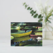Voyage collection carte postale 7 (Debout devant)