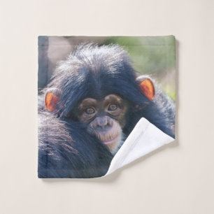 Voyage du bébé chimpanzé