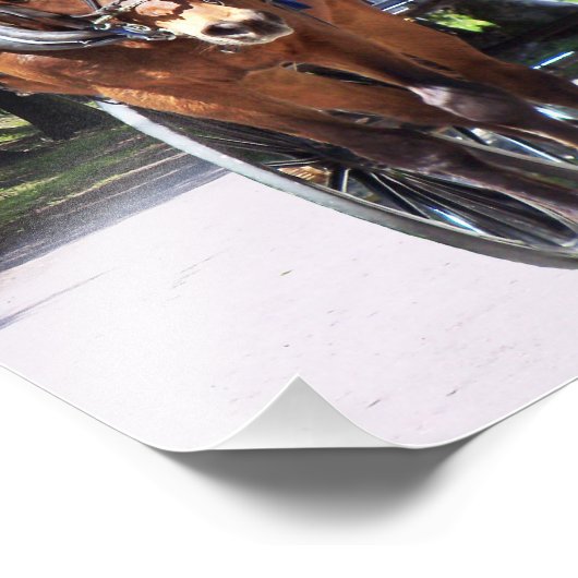 Voyage en cheval et en buggy dans le pays photo (Coin)