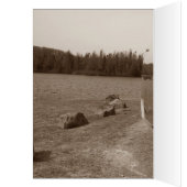 Voyage rétro brillant Voyage camping remorque camp (Intérieur (Gauche))