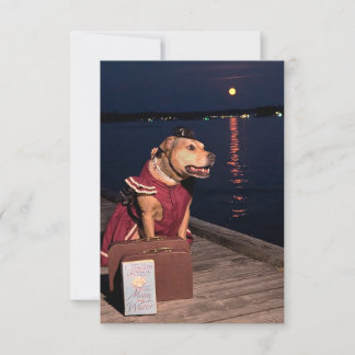 Voyageur Sailor Chien drôle costume livre carte po