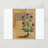 Voynich Herboristeria RetroCharms Briefkaart (Voorkant)