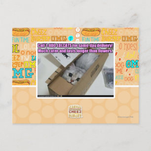 Vraag 1-800-LOLCATS Briefkaart