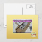 Vraag 1-800-LOLCATS Briefkaart (Voorkant / Achterkant)