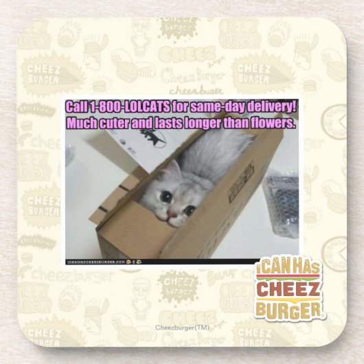 Vraag 1-800-LOLCATS Drankjes Onderzetter (Voorkant)