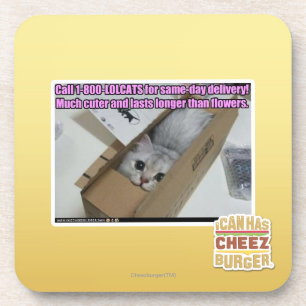 Vraag 1-800-LOLCATS Drankjes Onderzetter