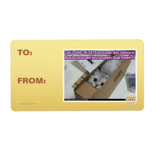 Vraag 1-800-LOLCATS Etiket