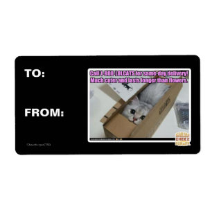 Vraag 1-800-LOLCATS Etiket