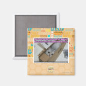 Vraag 1-800-LOLCATS Magneet (Voorkant / Achterkant)