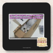 Vraag 1-800-LOLCATS Onderzetter (Voorkant)