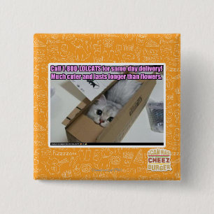 Vraag 1-800-LOLCATS Vierkante Button 5,1 Cm
