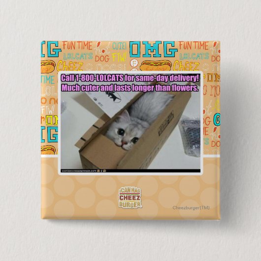 Vraag 1-800-LOLCATS Vierkante Button 5,1 Cm (Voorkant)