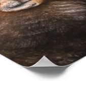 Vraag aan het poster van Ancestors (Hoek)