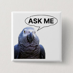 Vraag het me - Grey Parrot Guide Button