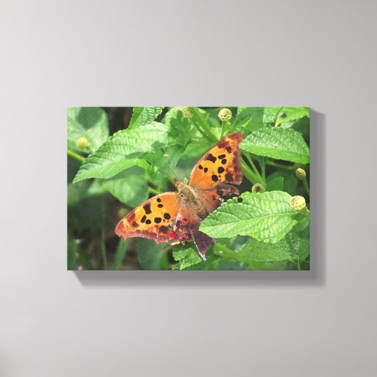 Vraag Mark Butterfly op Lantana Wrapped Canvas (Voorkant)
