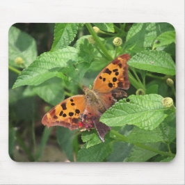 Vraag Mark Butterfly over Lantana Muismat