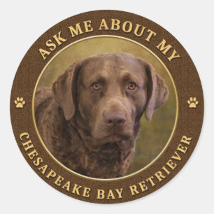 Vraag me naar Mijn eBay Retriever Stickers