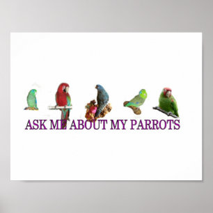 Vraag me naar mijn ouders poster