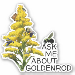 Vraag me over Goldenrod en bestuivers Sticker