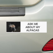 VRAAG ME OVER MIJN ALPACAS BUMPERSTICKER (Op auto)