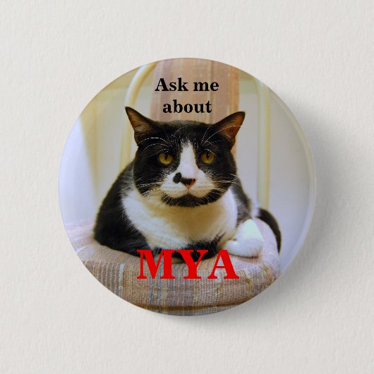 Vraag me over mijn Button (Voorkant)
