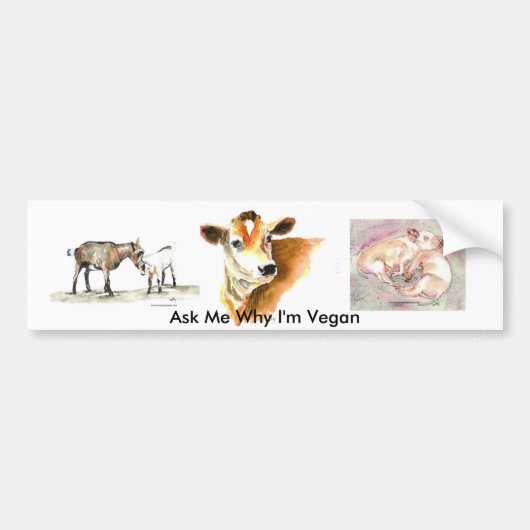 Vraag me waarom ik Vegan bumper sticker ben (Voorkant)