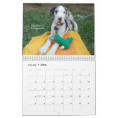 Vrai calendrier des animaux familiers 2009 (Jan 2026)