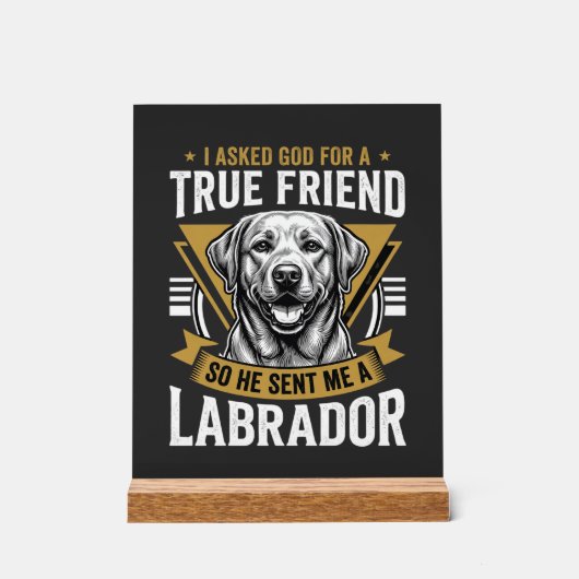 Vrai chien Labrador ami (Recto)