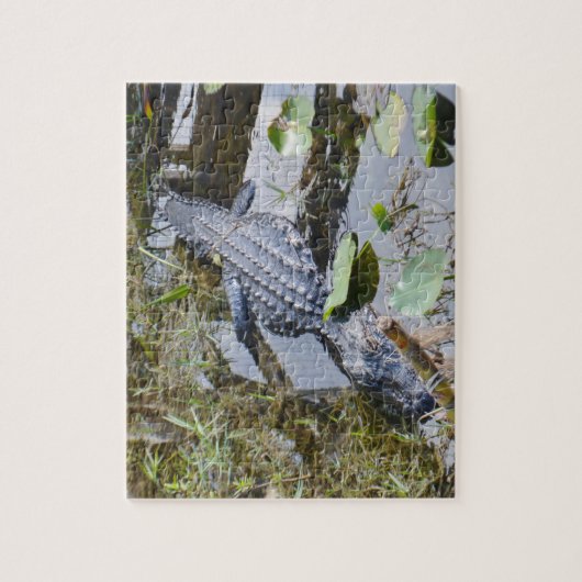 Vrai puzzle d'alligator pour l'ensemble plus jeune (Vertical)
