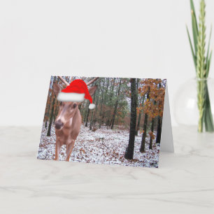 Vrais cerfs communs folâtrant la carte de scène de