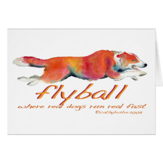 Vrais chiens de Flyball