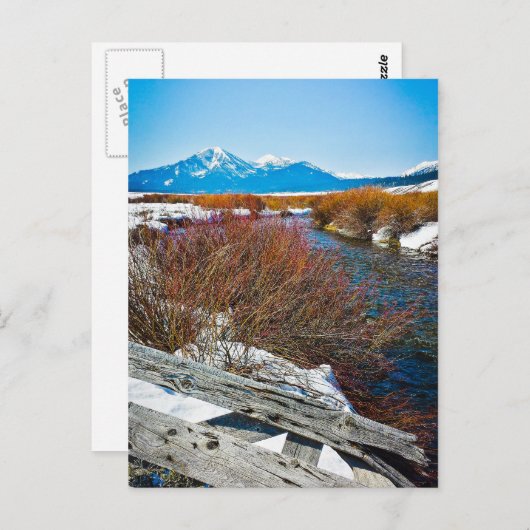 "Vrede" Briefkaart (Voorkant / Achterkant)